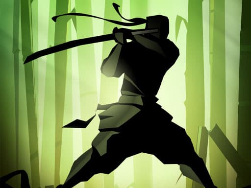 Ninja Warrior: Legend of Adven