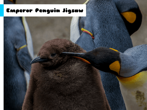Emperor Penguin Jigsaw